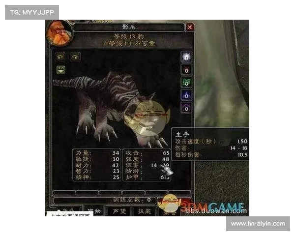 魔兽世界怀旧服：宝宝等级攻略大揭秘